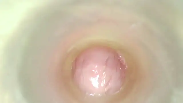 karol_stom live sex cam