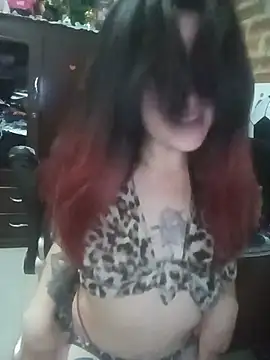 _Alaskamisa webcam