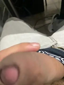 4100anllel webcam