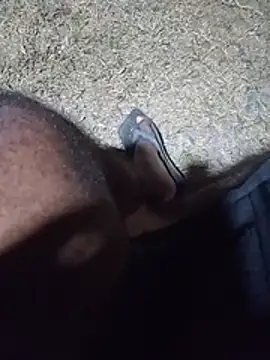 Hiptonos live cam