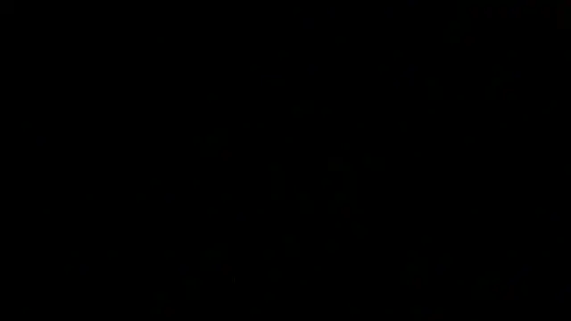 SirFrankonde webcam
