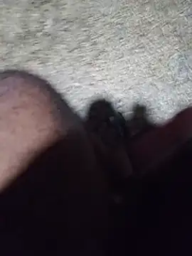 Hiptonos live cam
