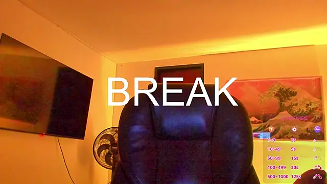 RJBarto webcam