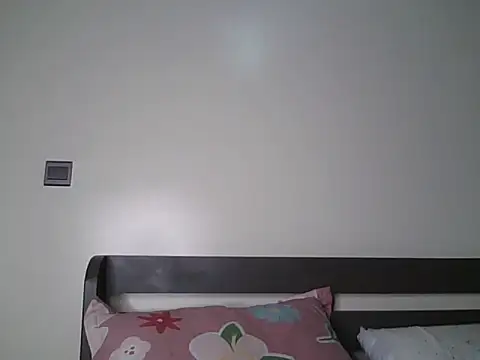 Alevic_ webcam