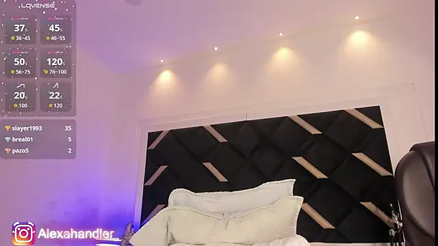 Alexa_Handler webcam