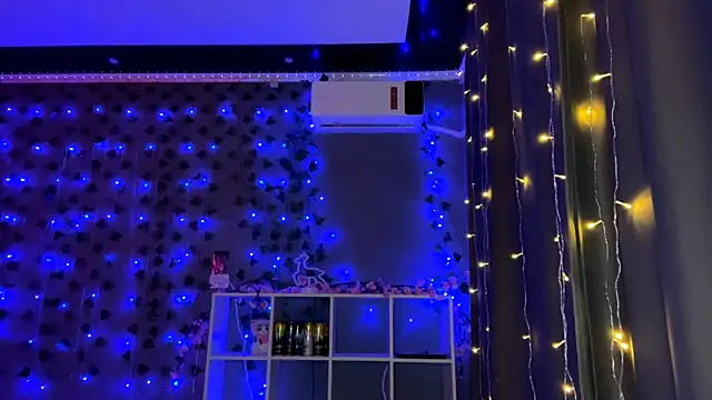 HousedMud live webcam show
