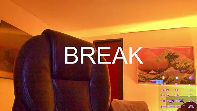 RJBarto webcam