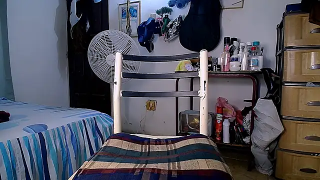 Freyjalaveau webcam