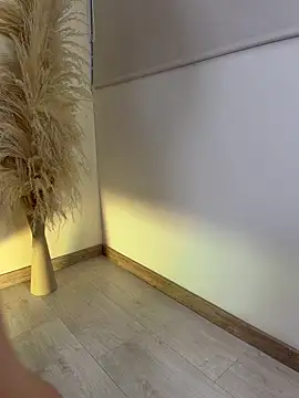 PaulPhoenix_ live webcam show