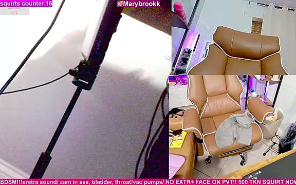 MaryBrook1 webcam