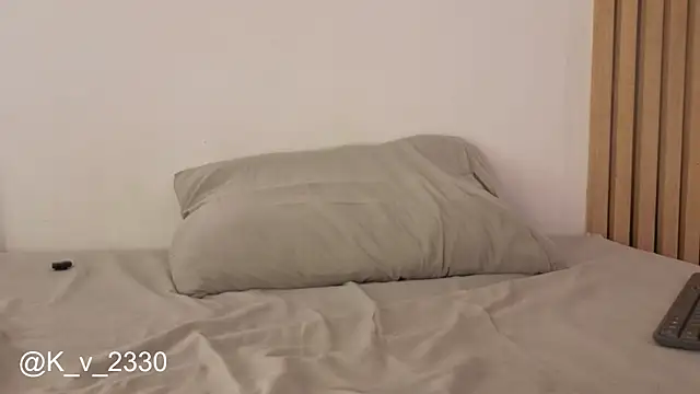 sofiesoft webcam