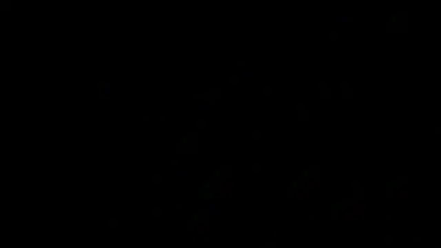 SirFrankonde webcam