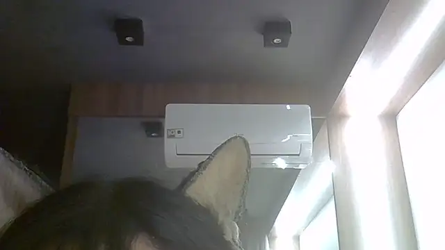 SkinnyKitten webcam