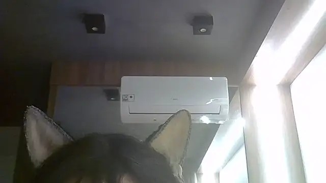 SkinnyKitten webcam