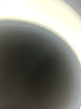 SweetCat_and_Jhonny webcam