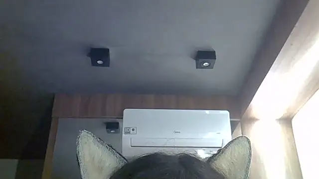 SkinnyKitten live cam on StripChat