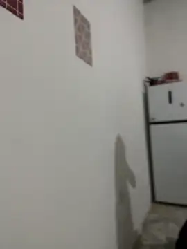 Unanena webcam