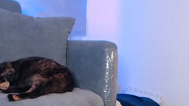 sofiasteven webcam