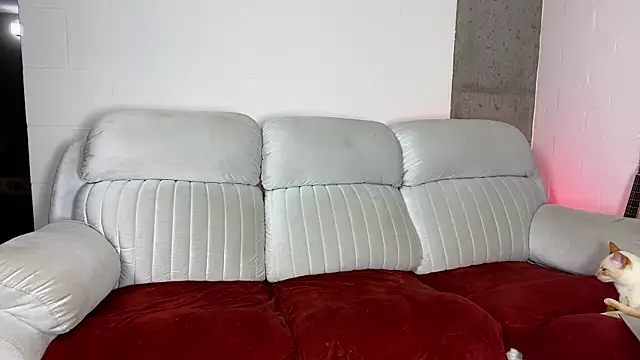 perceo_and_saddie