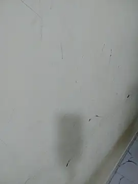 Monika_kumari6