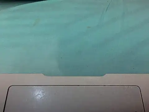 ZuriCharm webcam