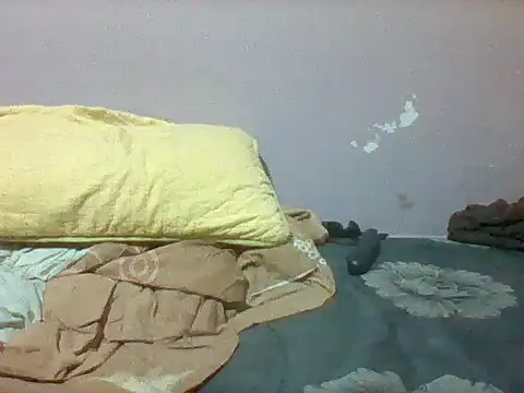 mislover webcam