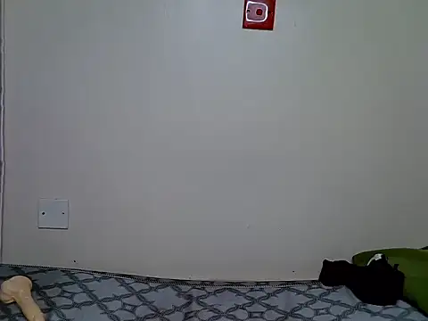 Cavy_candy webcam