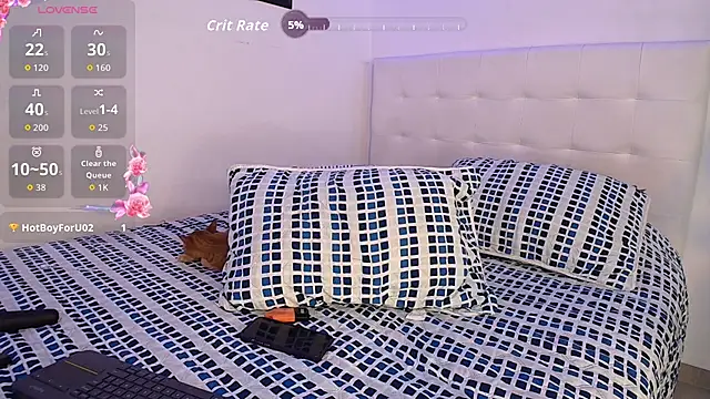 arye_lle webcam