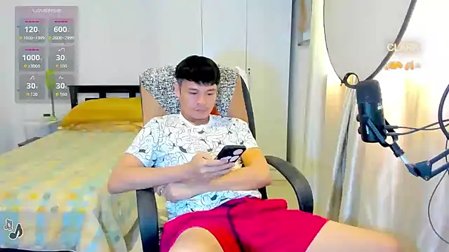clarkdangerous webcam