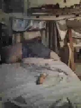 Biknight webcam