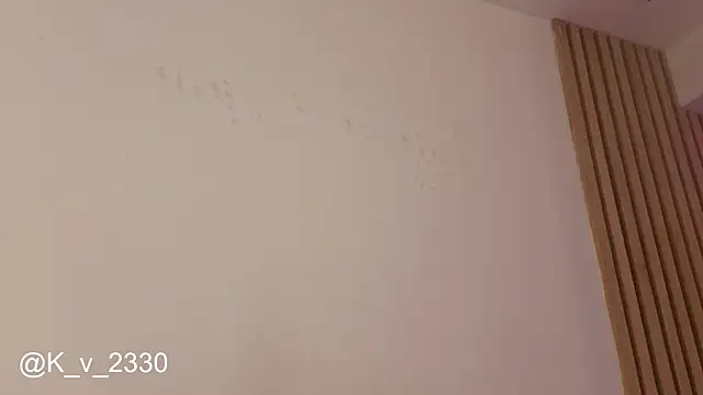 sofiesoft webcam