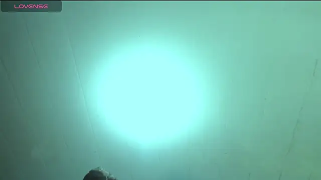 KaliAndLeon webcam