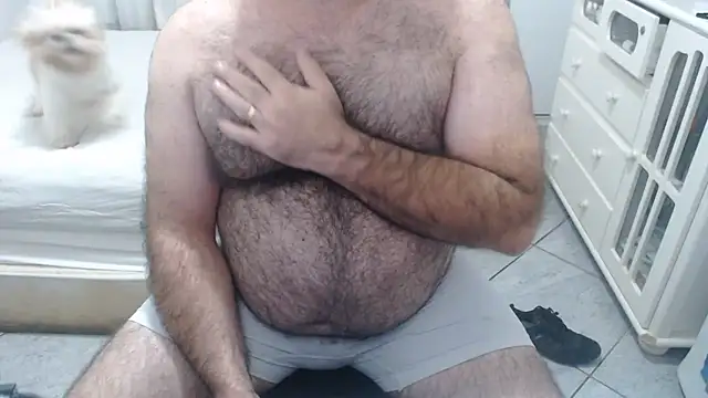 MysterBearMG webcam
