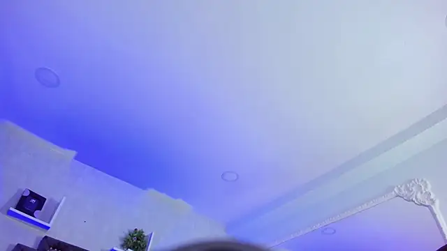 DalayMoore webcam