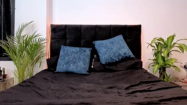 Noha-Wolf webcam