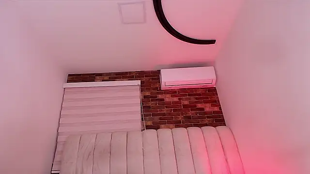 sofi_dv webcam