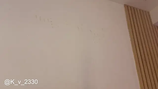 sofiesoft webcam