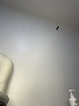 amara_huxly webcam