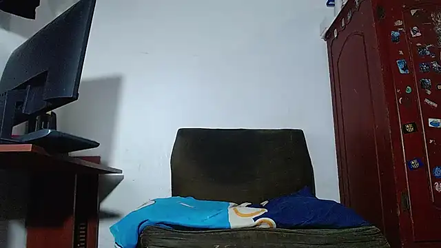 bulguehot webcam