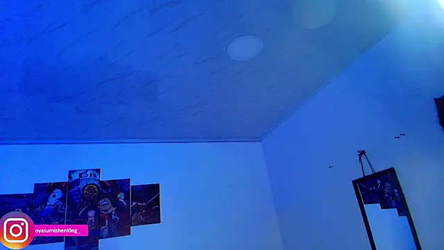 Nicorobinn webcam