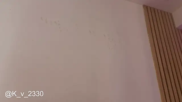 sofiesoft webcam