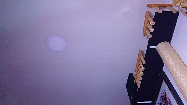the_dog_lian webcam