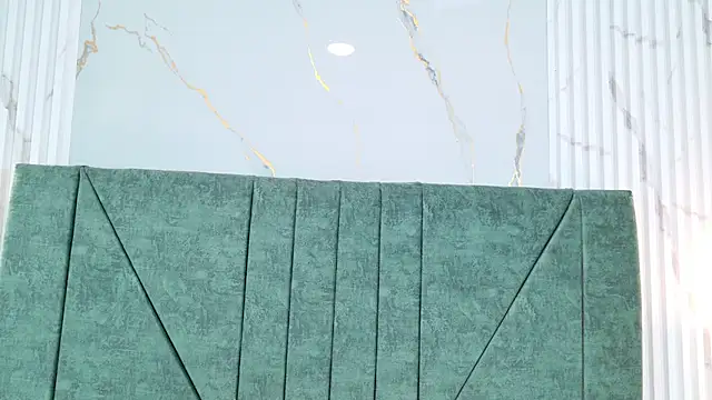 Katt_wild webcam