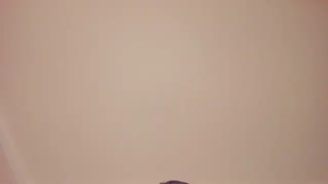 CamilaPietri live cam on StripChat
