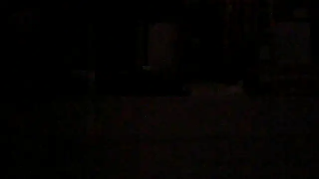 SirFrankonde webcam