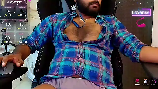 SilverShade3 webcam