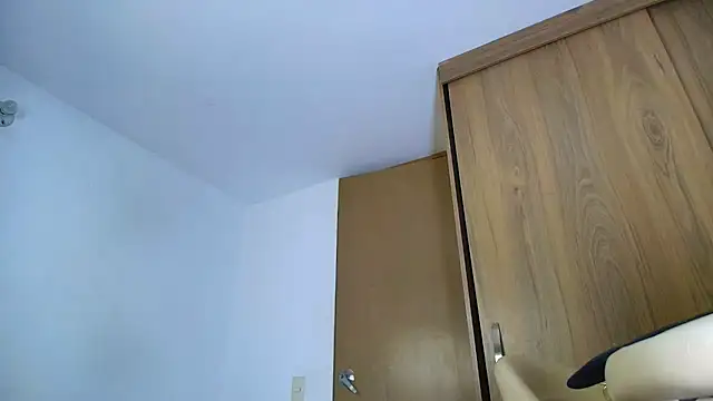 SARA_TS_FOX webcam