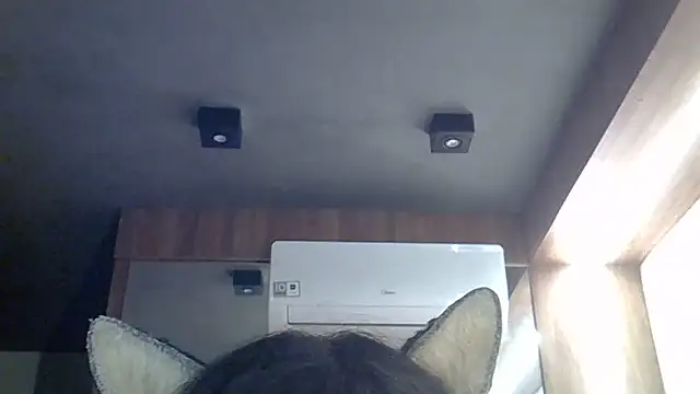 SkinnyKitten webcam