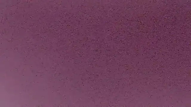 MikeBiNL webcam