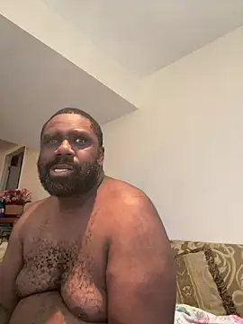 KOdaLion webcam